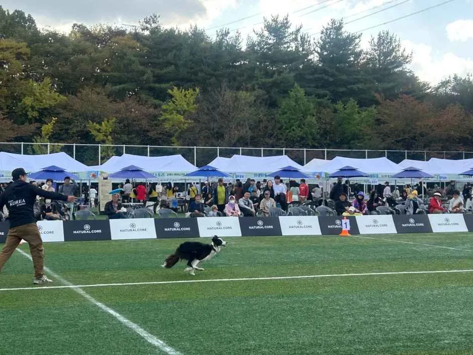 2026 반려견과 가치있게 운동하는 축제 (3).jpg