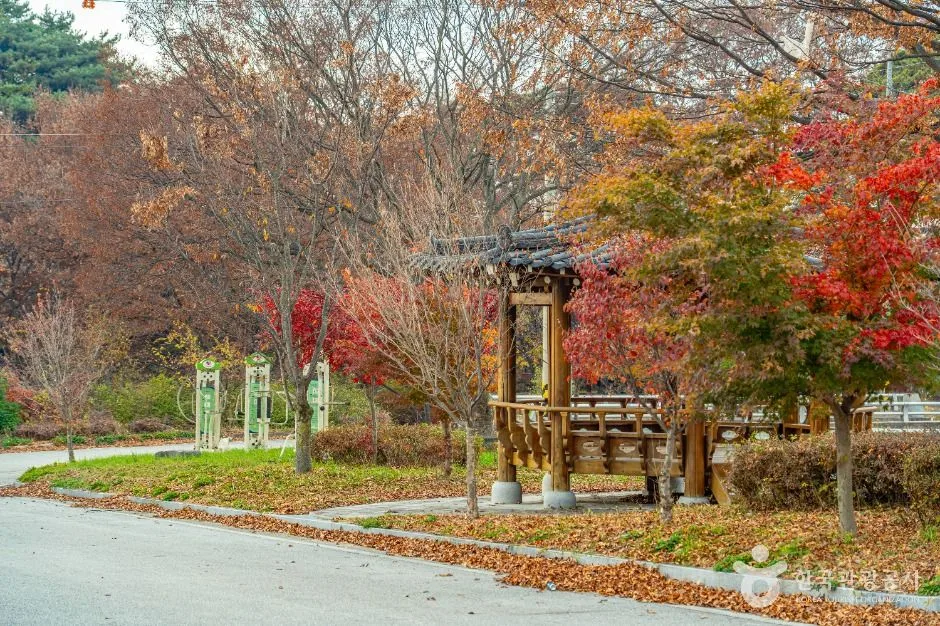 남원_남원 추어마을 (4)