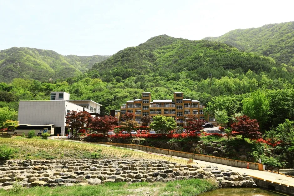 장령산자연휴양림