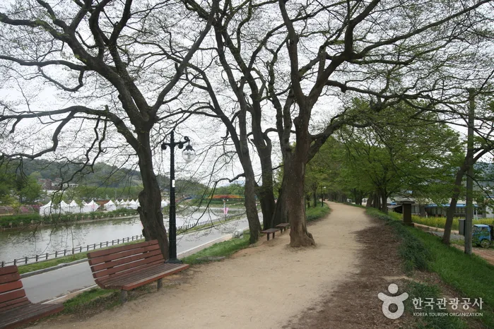 대나무 숲에서 즐기는 캠핑여행