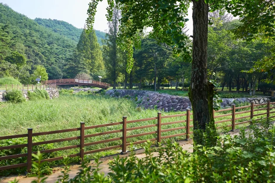모악산 도립공원 (4)