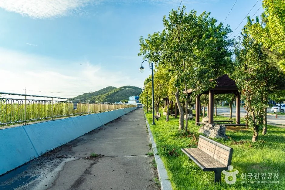 안산_탄도어촌체험마을 (6)