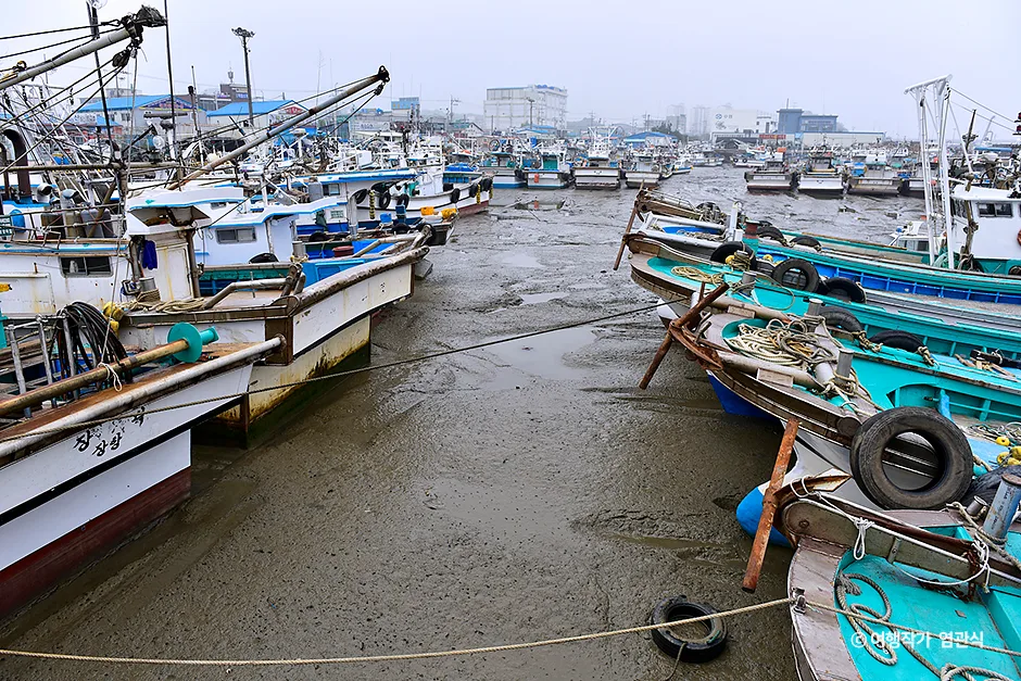 충남_서천군_장항항 (1).jpg