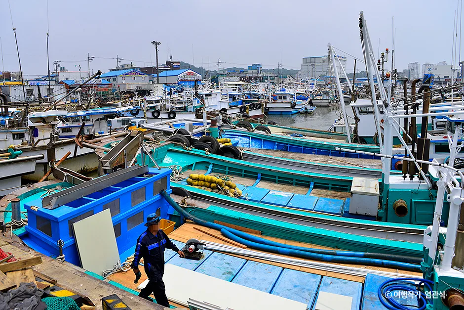 충남_서천군_장항항 (2).jpg