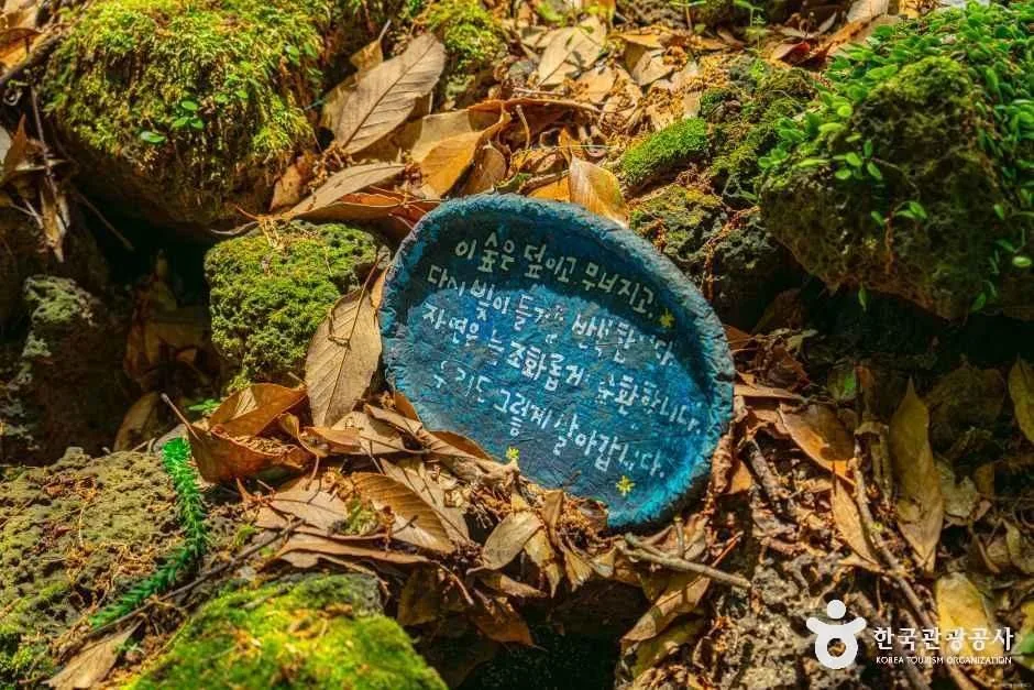 서귀포_환상숲곶자왈공원 (7).jpg