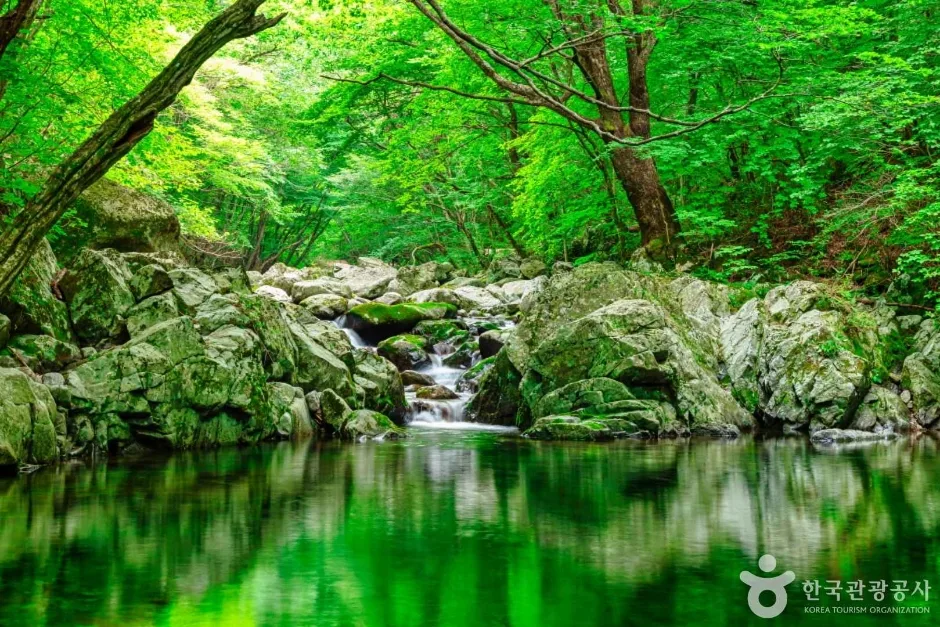 무주 구천동 33경 (5)