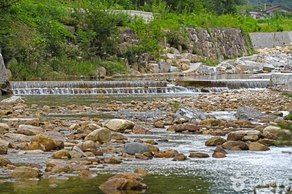 용하구곡 (5)