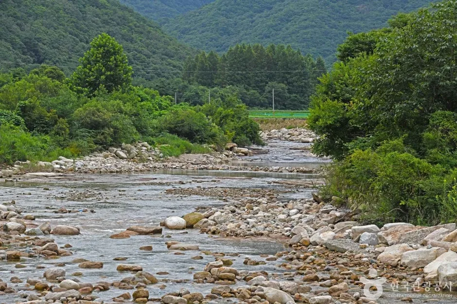 용하구곡 (2)