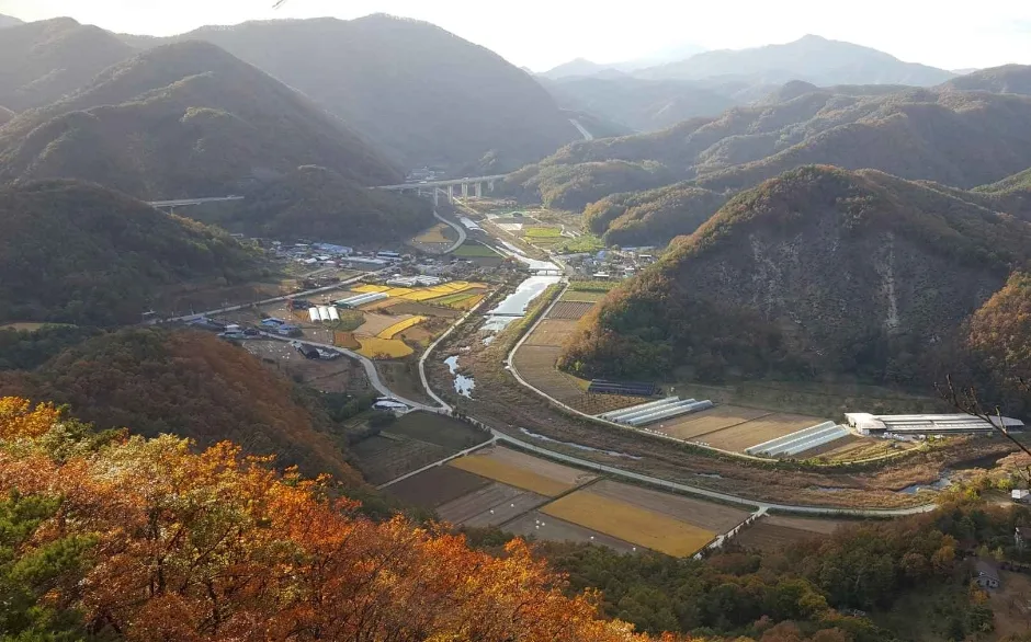경북_상주_밤원마을 (3)