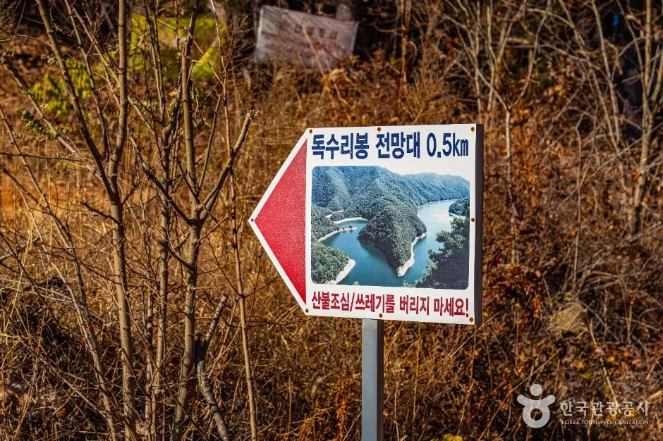 보은_독수리봉 (1)