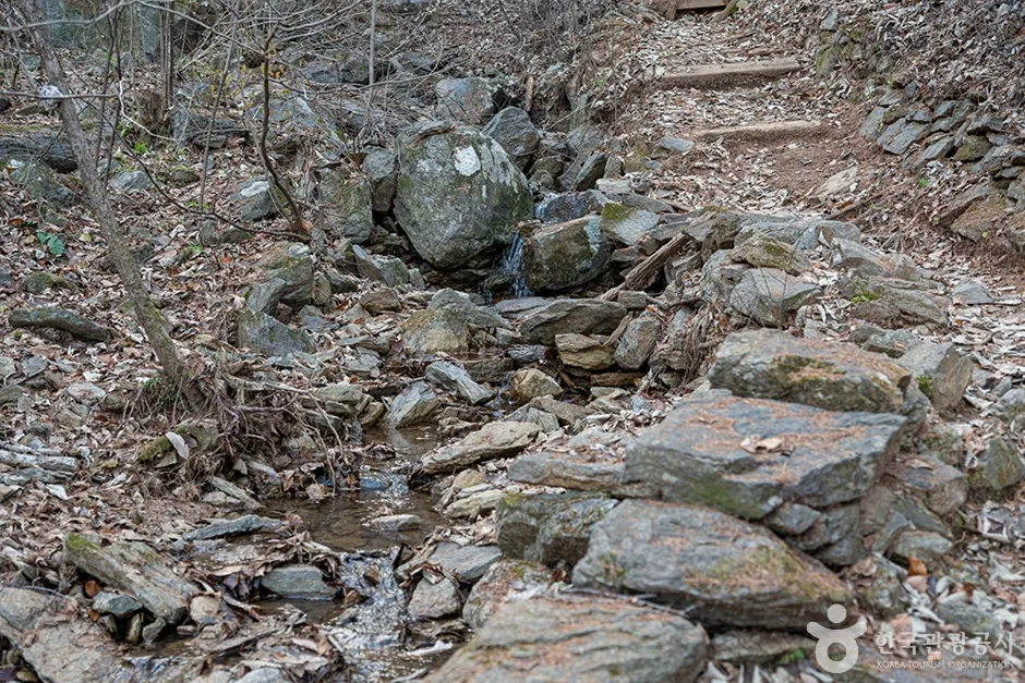 유명산 (3)