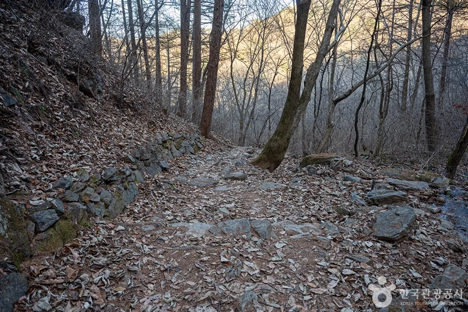 유명산 (4)