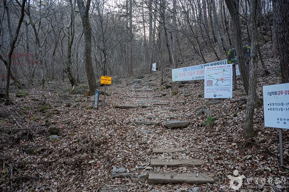 유명산