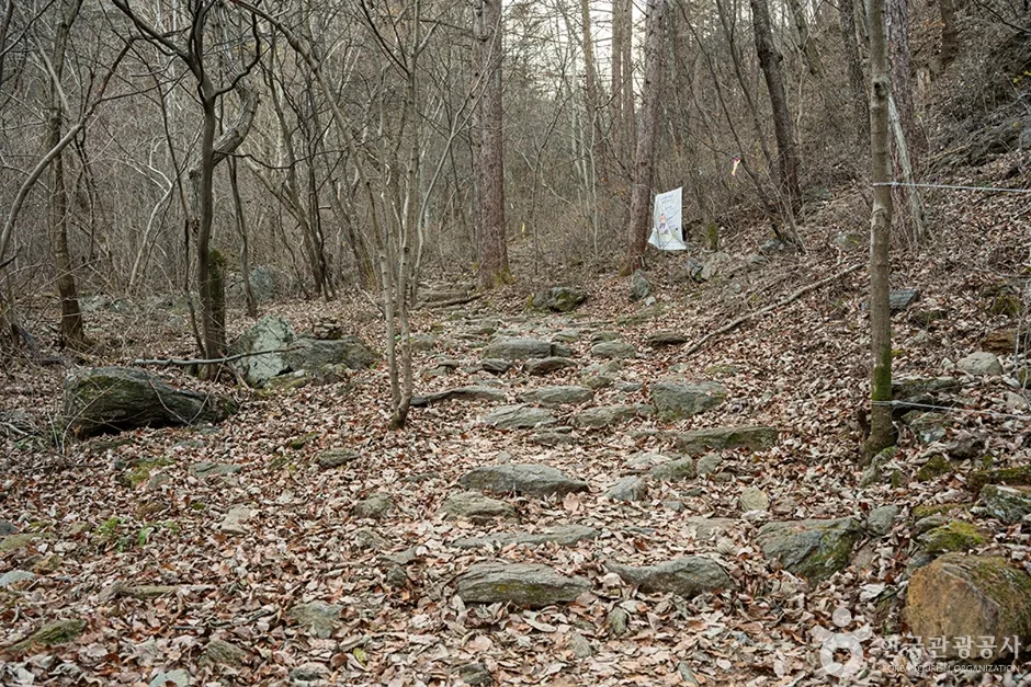 유명산 (2)