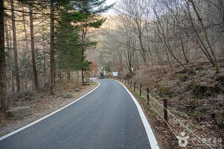 유명산 (5)