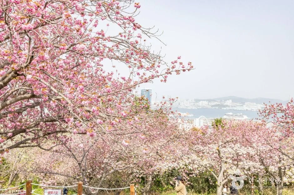 부산_민주공원 (17)