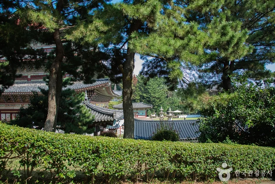약천사(제주) (3)
