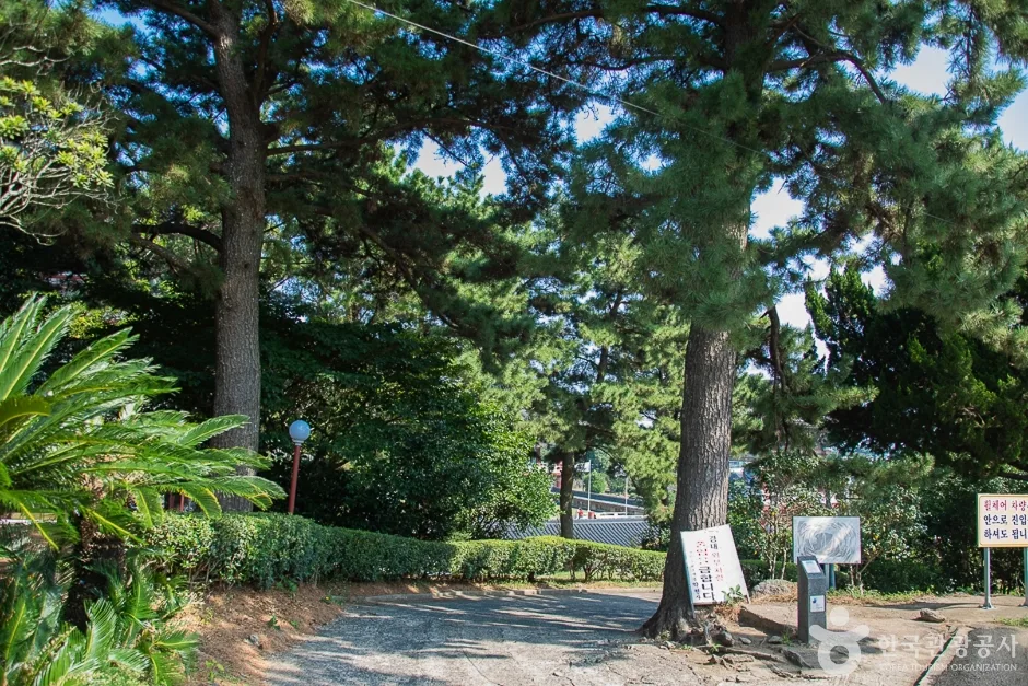 약천사(제주) (2)