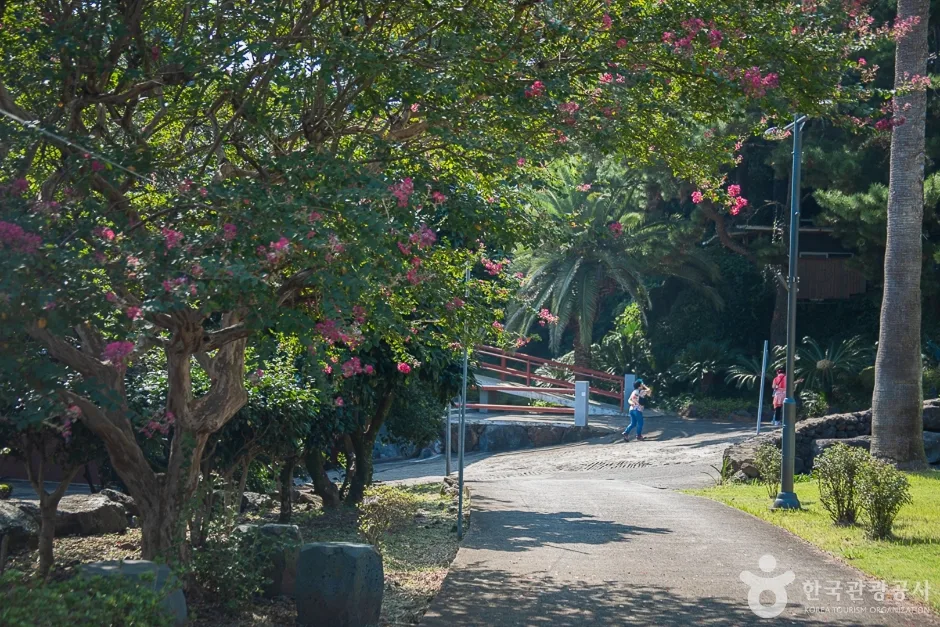 약천사(제주) (11)