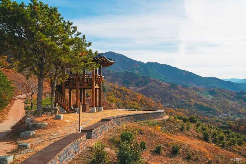 하동_정금차밭 (6)