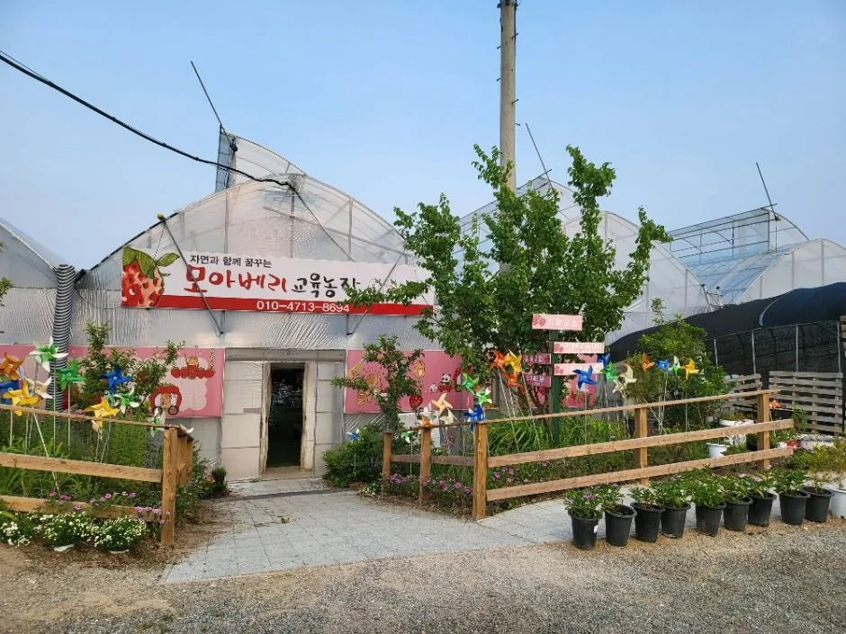 모아베리교육농장