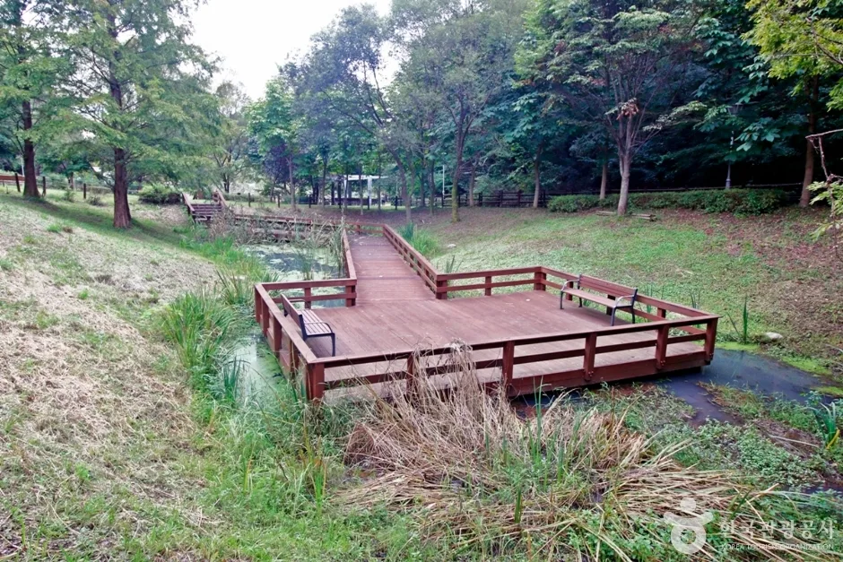 세천공원 (5)