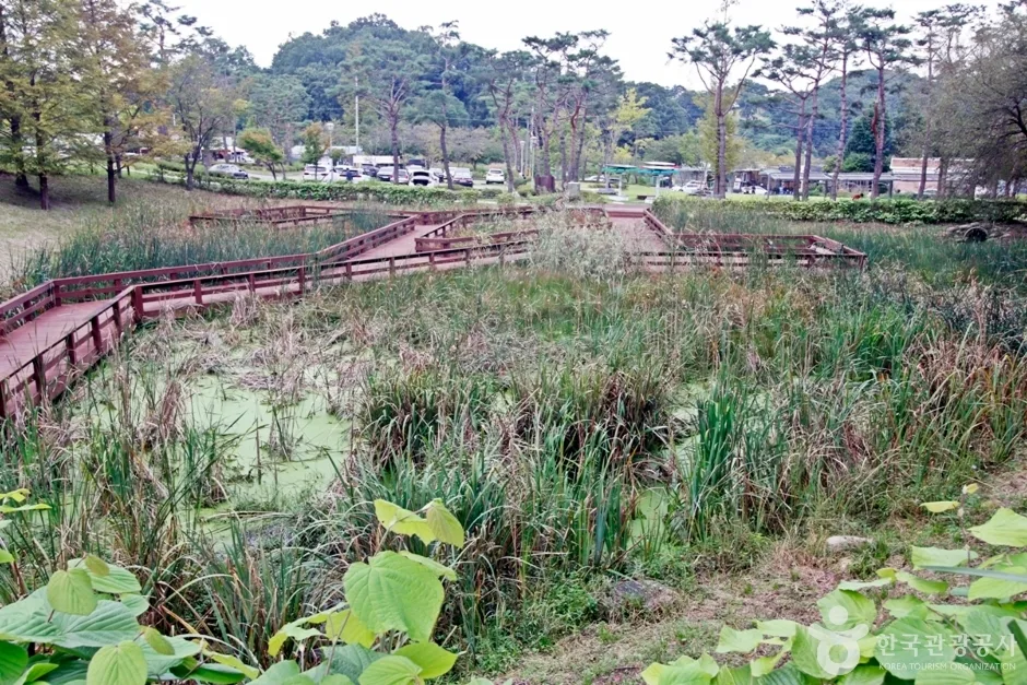세천공원 (1)
