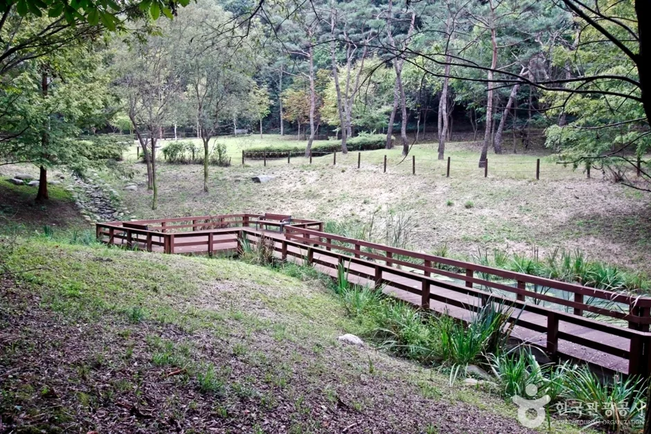 세천공원 (3)