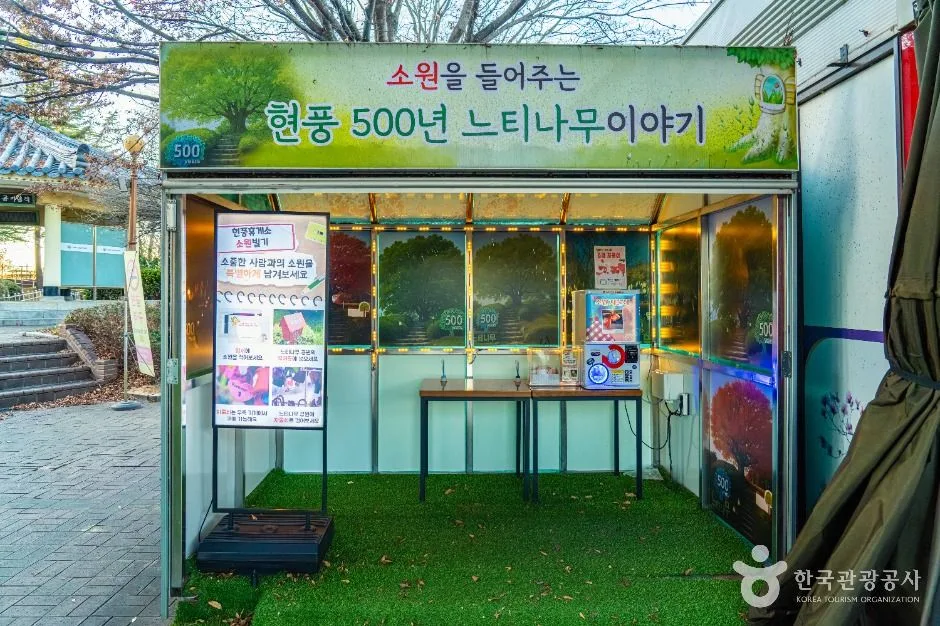 대구_현풍 500년 느티나무 테마공원 (2)