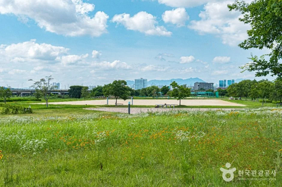 광주_산동교친수공원 (1)