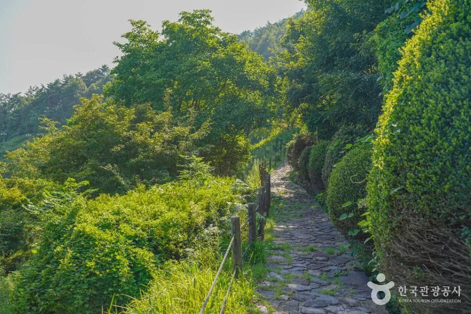 영광_숲쟁이공원 (2)