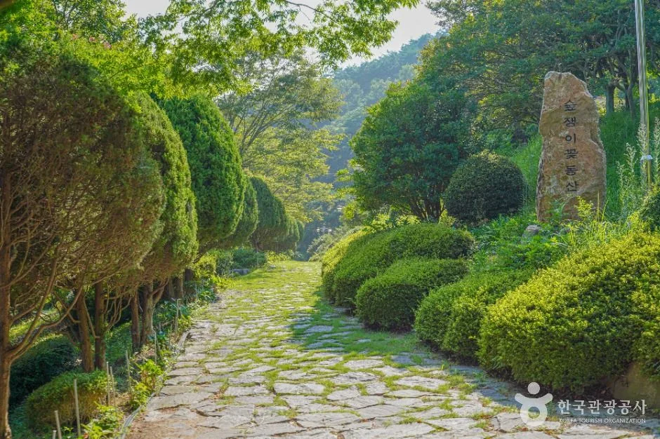 숲쟁이공원