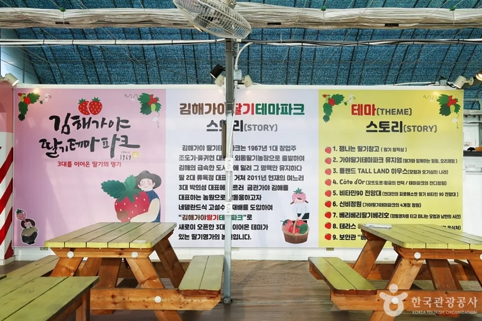 경남_김해_김해가야딸기테마파크 (3)