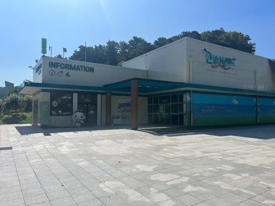 안성맞춤랜드 내 보행로 점자블록