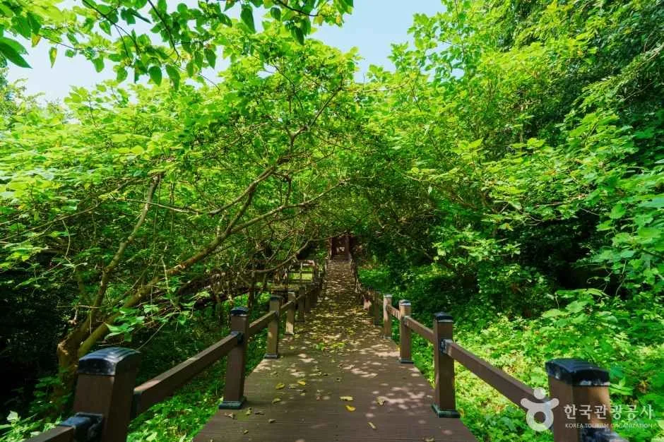 외연도