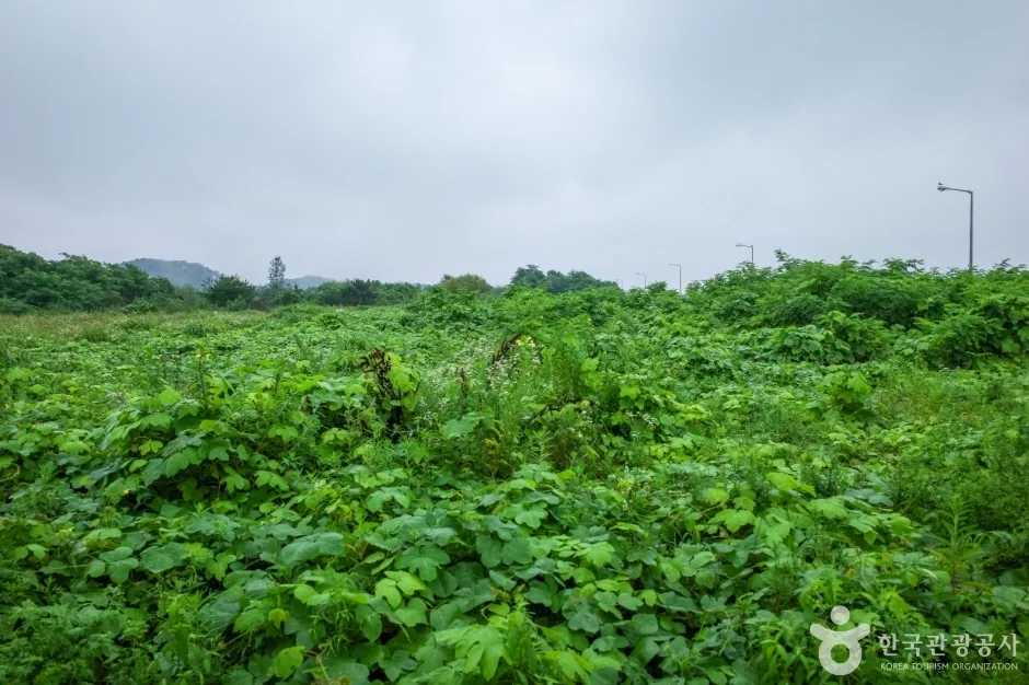 메추리섬 (11)