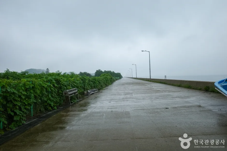 메추리섬 (7)