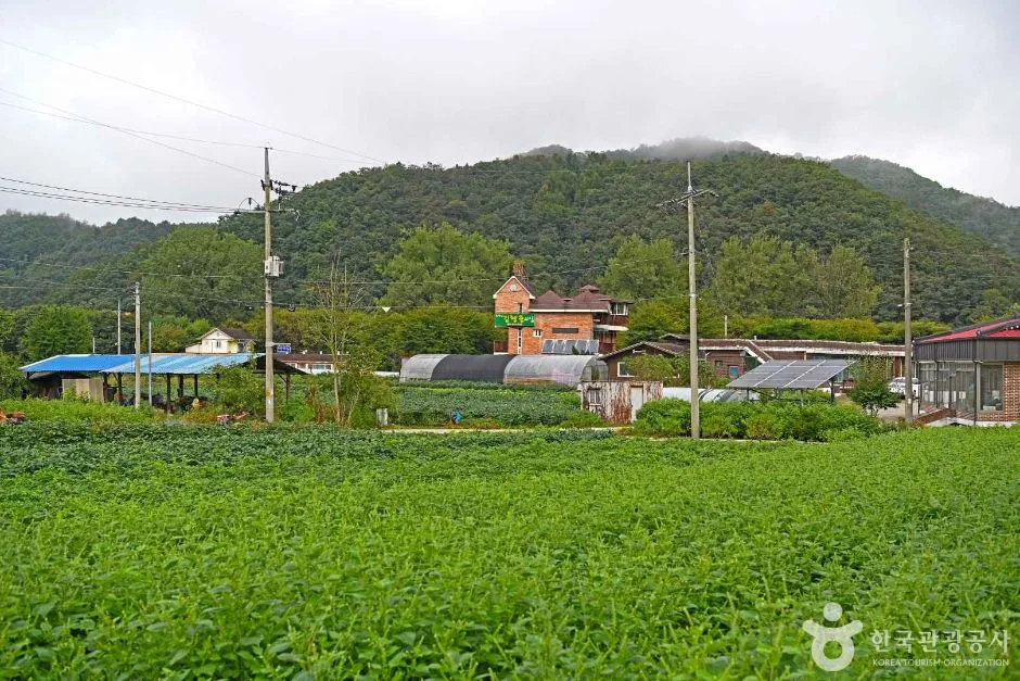 강원_홍천_복주머니마을 (5)