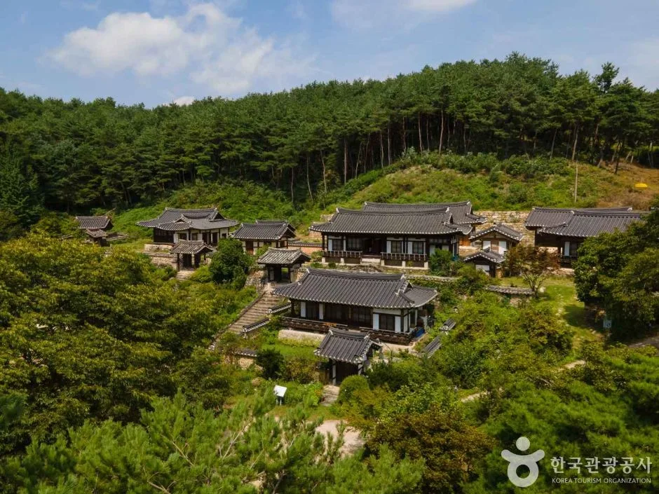 안동_군자마을 (2)