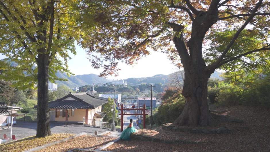 괴산_괴산향교 (3)