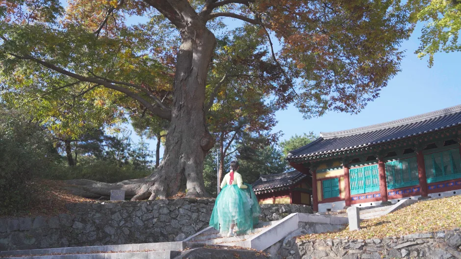 괴산향교_08