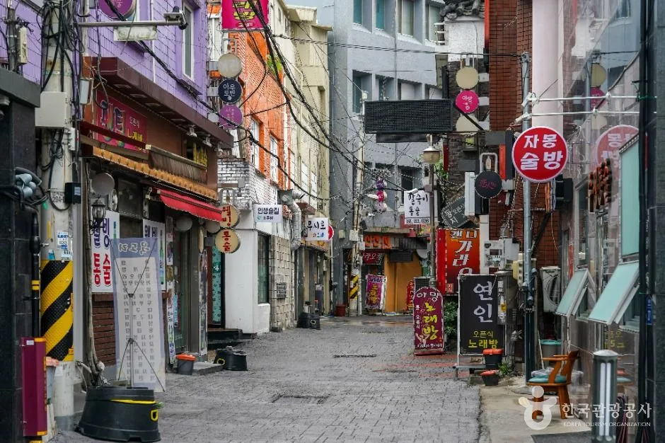 창원_오동동 통술거리 (3)