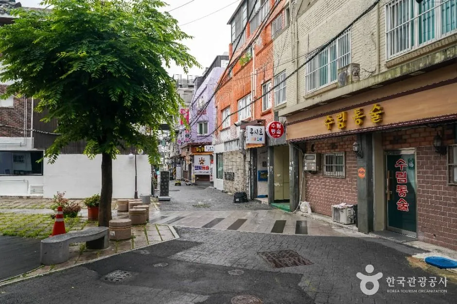 창원_오동동 통술거리 (5)