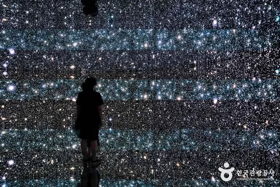 제주_포도뮤지엄 (8)