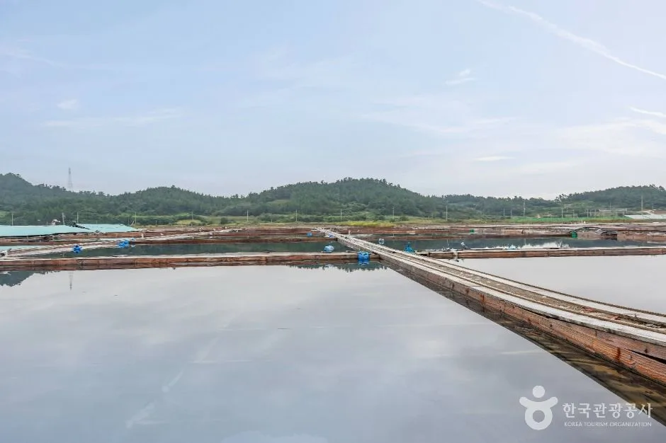 신안_병풍도 (7)