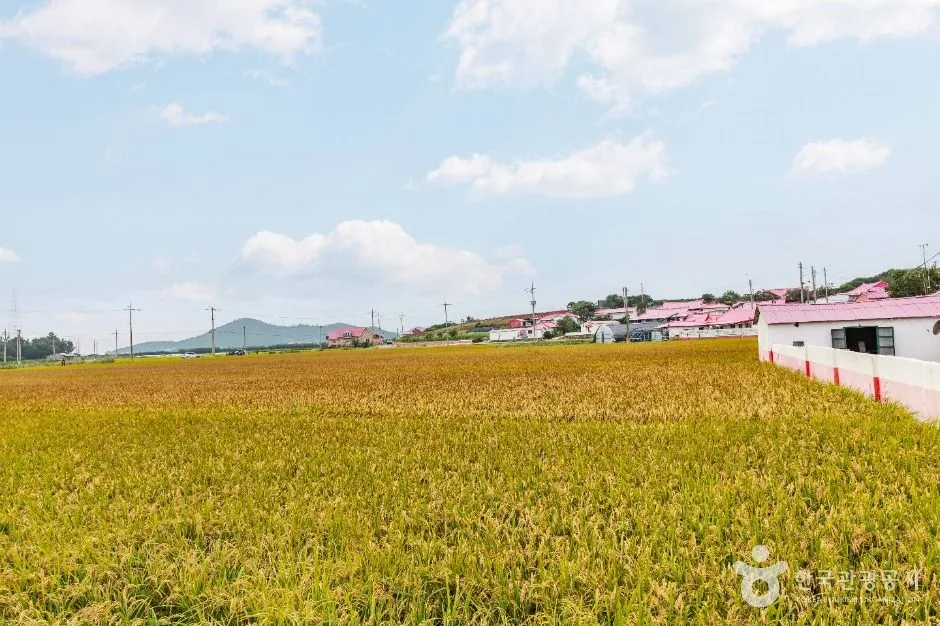 신안_병풍도 (6)