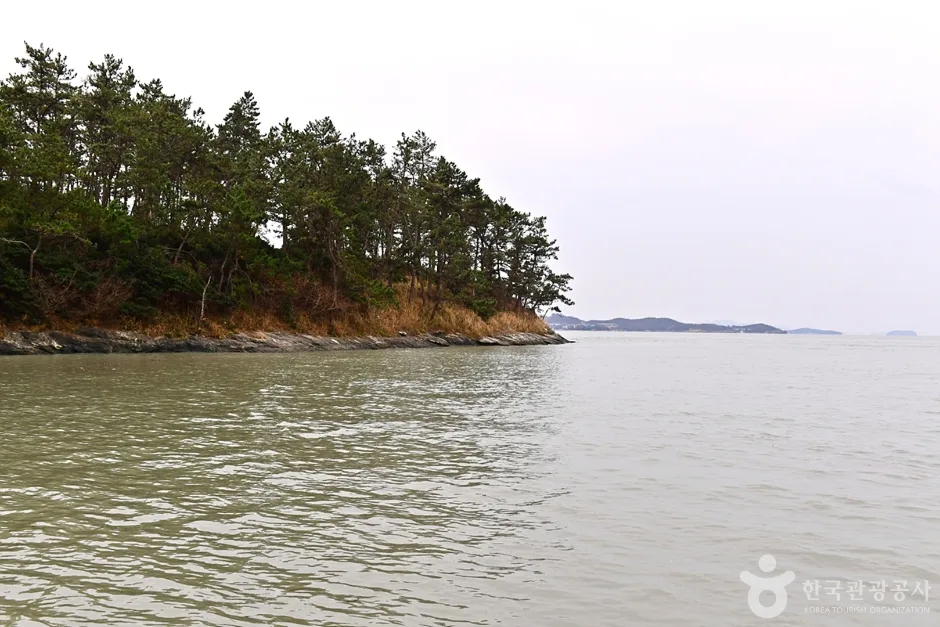 전남_해남_임하도 (10)