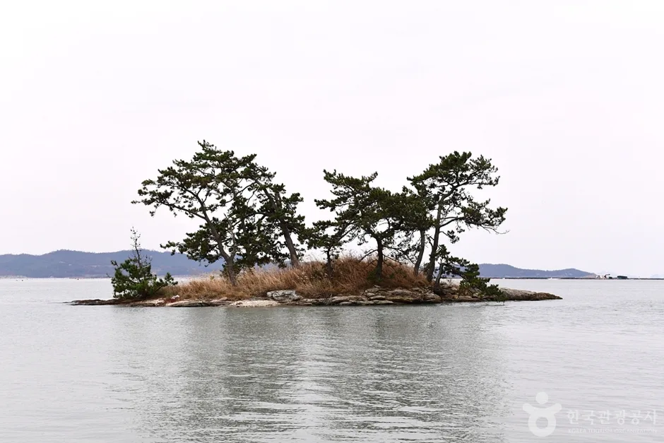 전남_해남_임하도 (4)