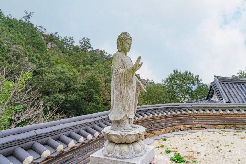 강진_금곡사(강진) (5)