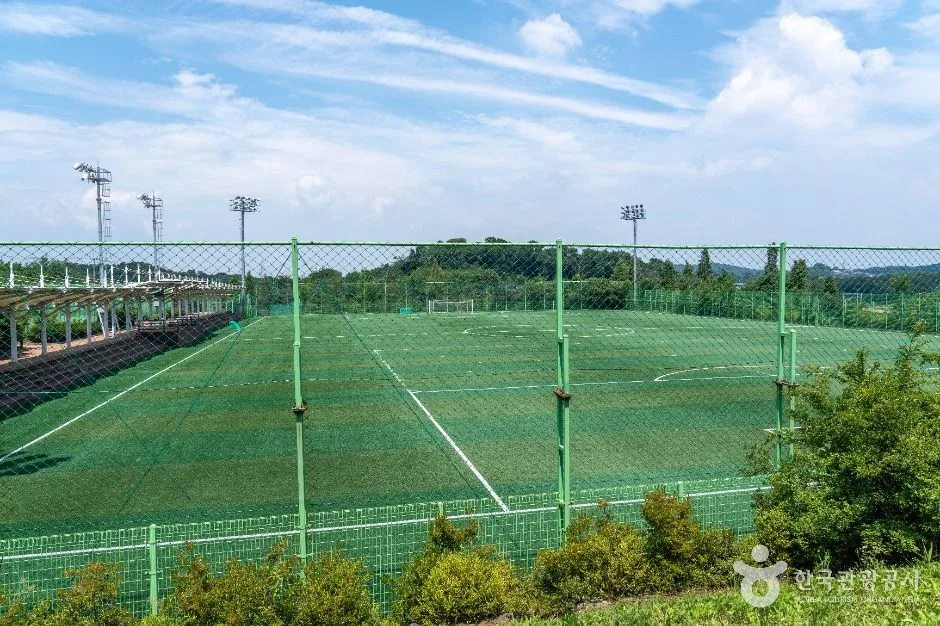평택_안중레포츠공원 (6)